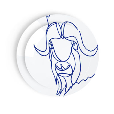 Design Plate Muskox Porcelain Plate from Arctic Beasts Limoges Collection